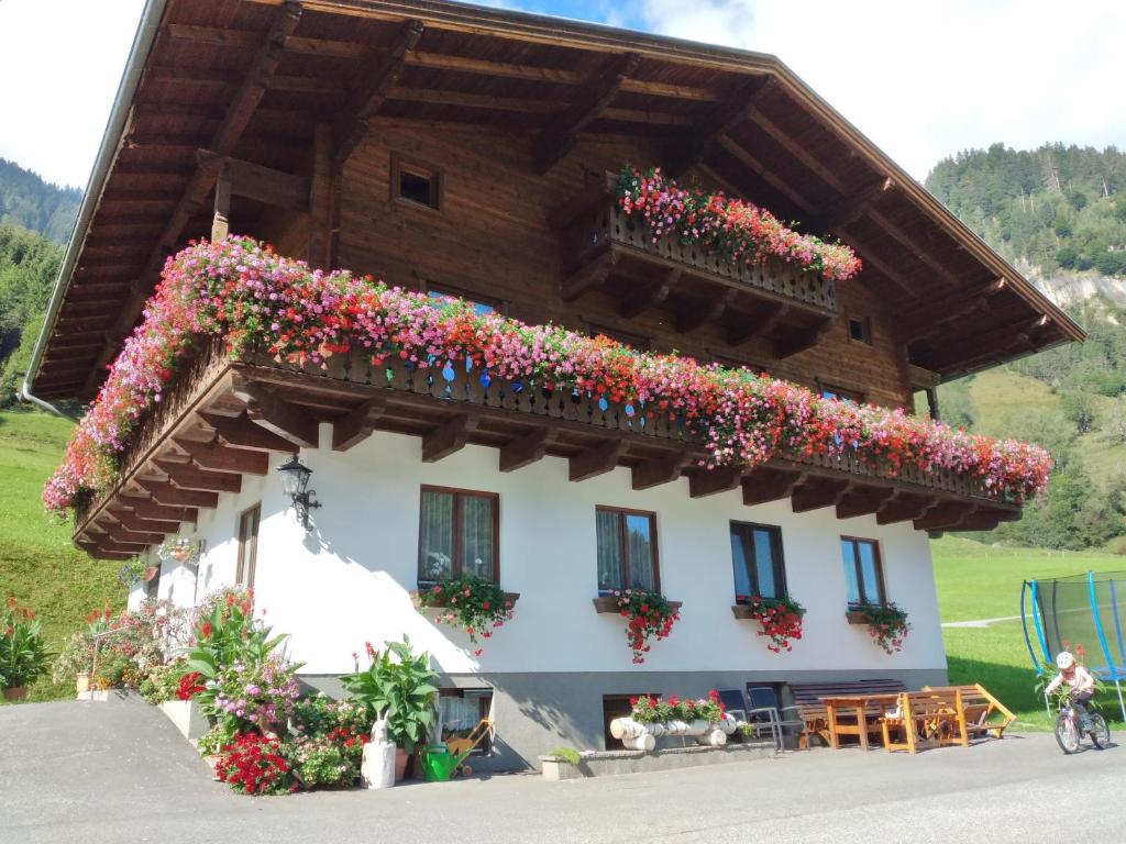 Bio-Bauernhof Schiederhof - 3