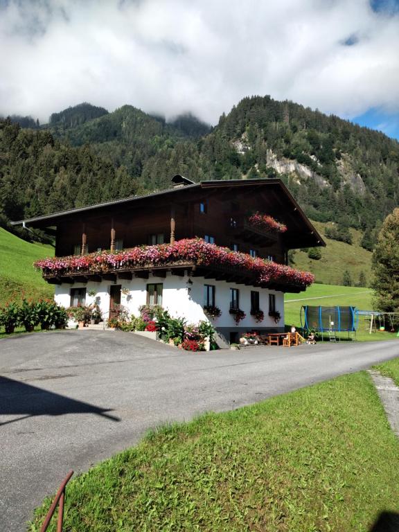 Bio-Bauernhof Schiederhof - 2