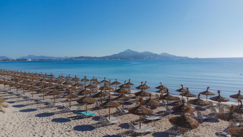 Aparthotel Ses Fotges — Plaża in Playa de Muro, Baleary