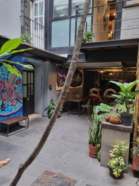 Metro Hostal Boutique - 2