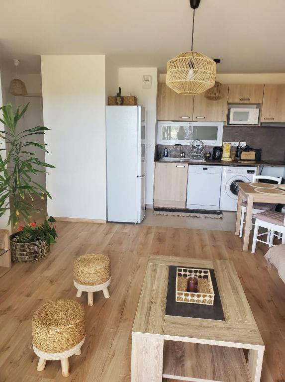 Appartement T2 sur Mauguio avec grande terrasse - 5