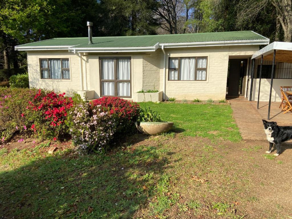 Peartree Cottage, Hogsback