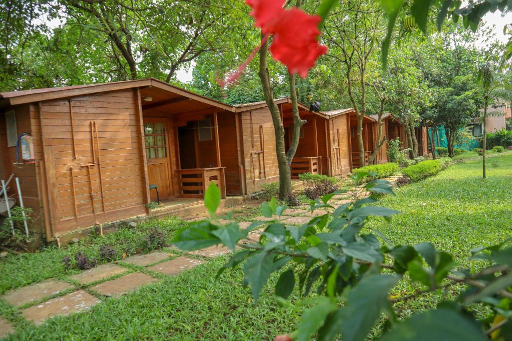 Baga Beach Cottage - A min away from Baga Beach photo