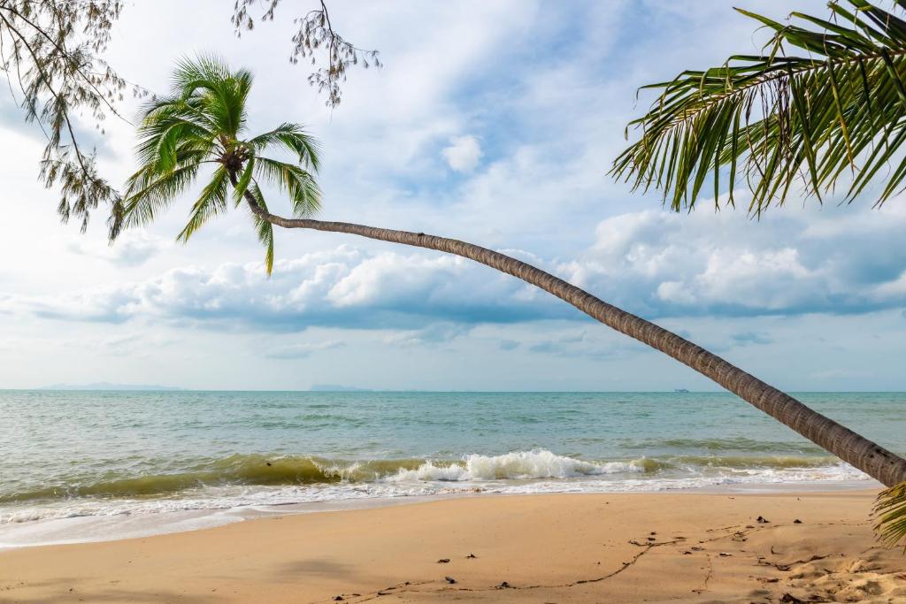 Satva Samui Yoga and Wellness Resort photo