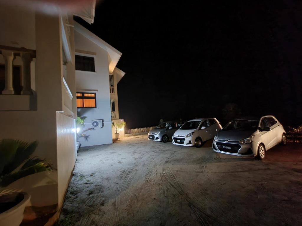 Island Cove photo