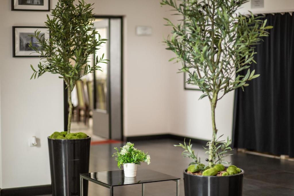 Hotel Srem photo