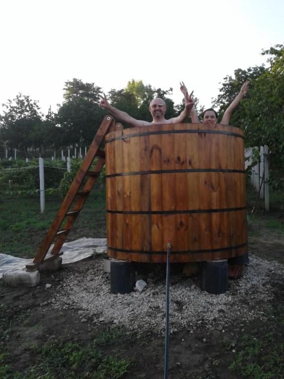 Pensiunea turistica "Casa rustica" photo