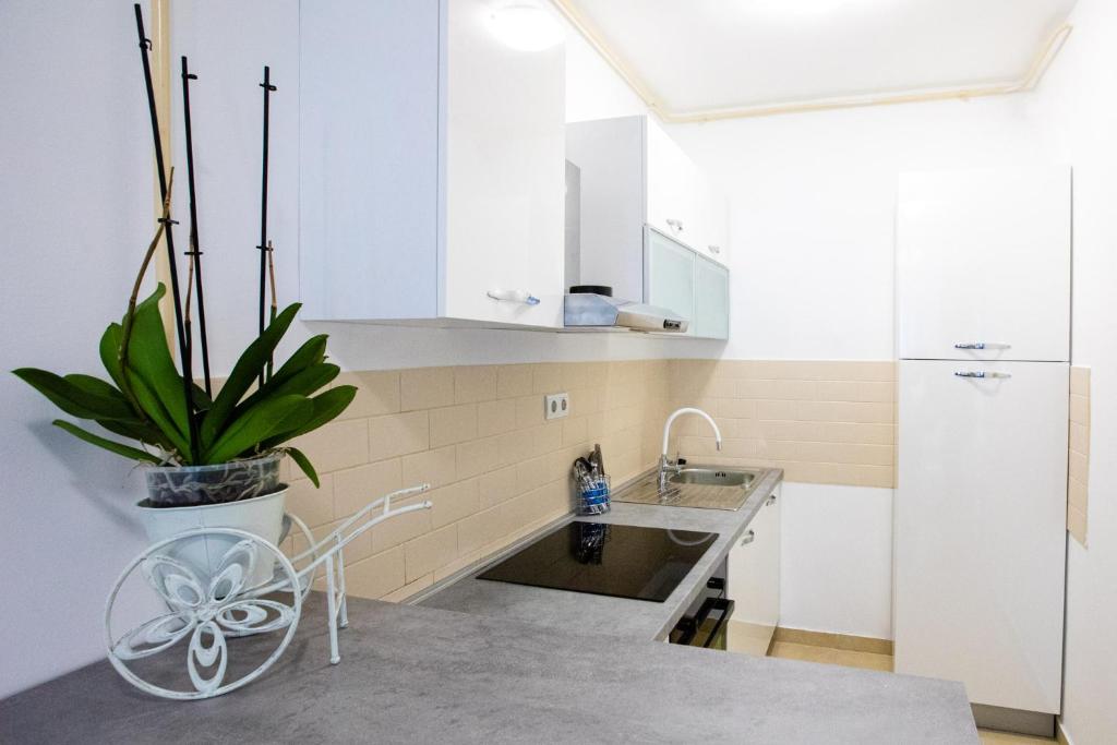 Apartmani 6M i M5, Záhřeb