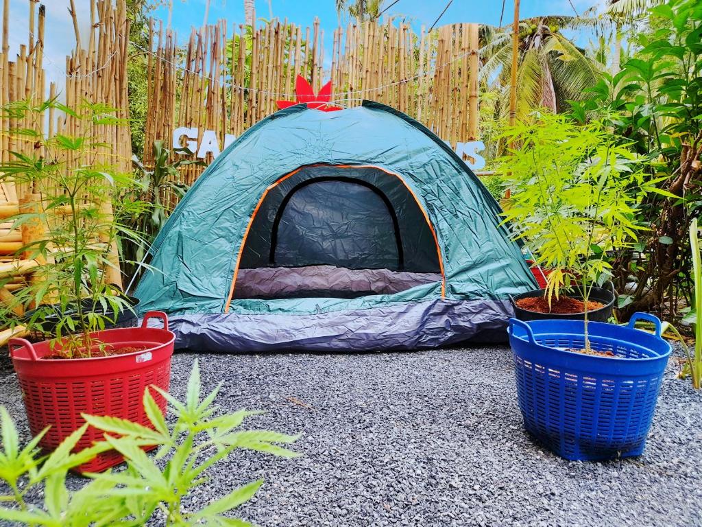 Ganja Gardens Camping — Hotel in Ko Pha-ngan