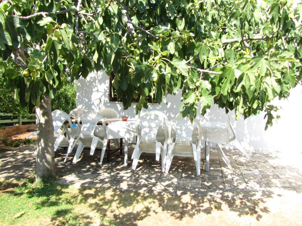 Apartments by the sea Slatine Ciovo - 15916 전경