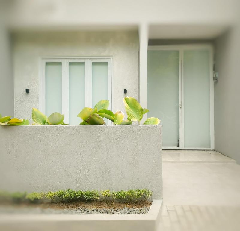 Humming House photo