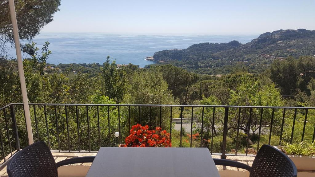 Hostal Sa Barraca - Adults Only photo