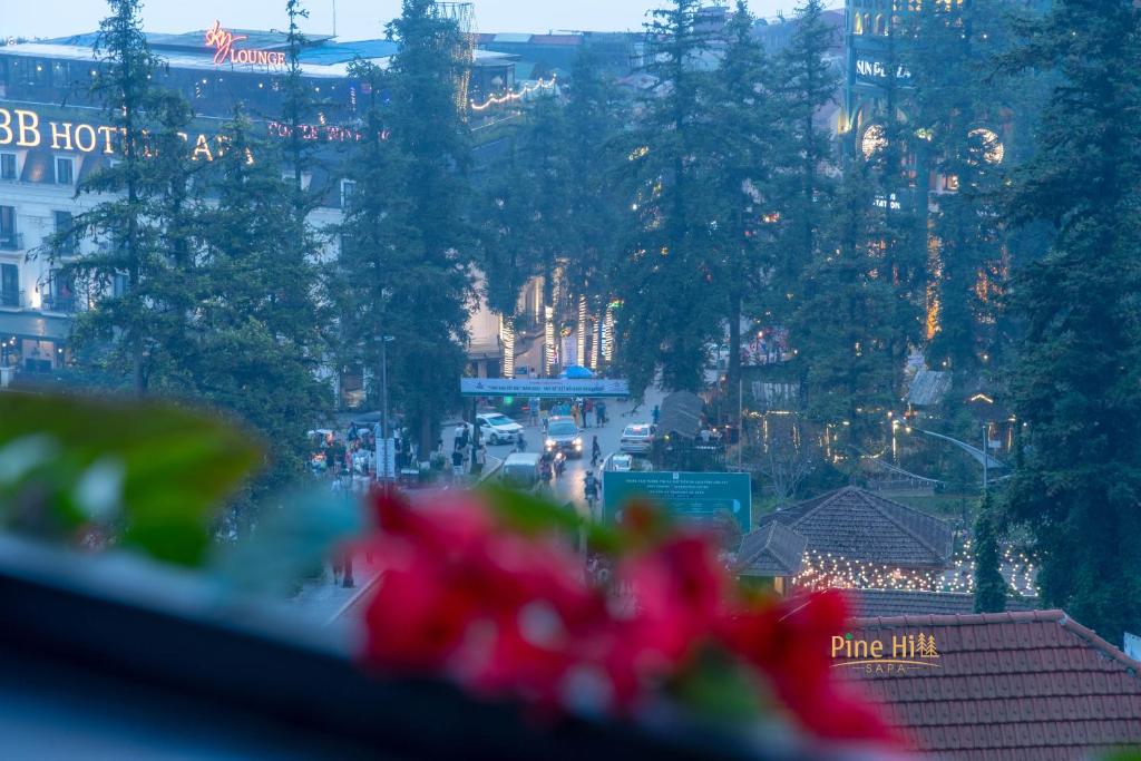 Sapa Pine Hill Ecolodge