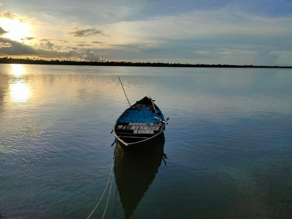 Amullya Kanan Villa, Sundarban photo