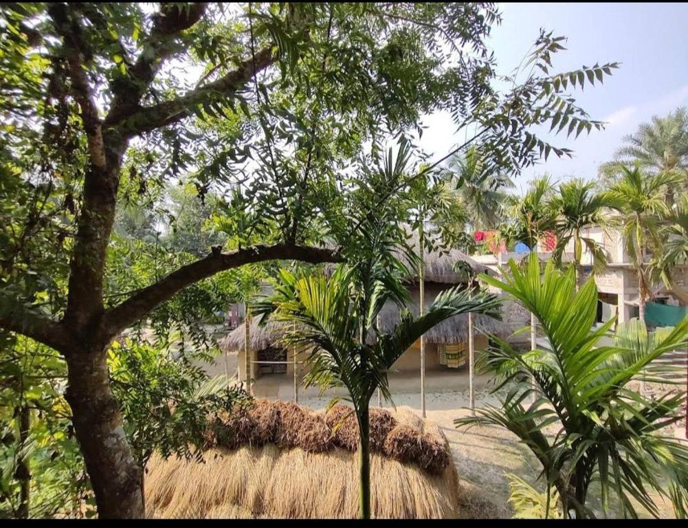 Amullya Kanan Villa, Sundarban photo