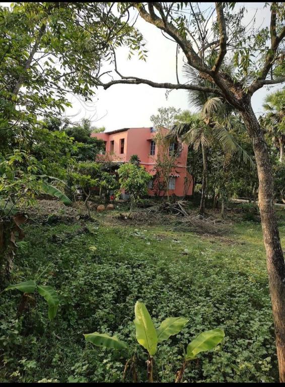 Amullya Kanan Villa, Sundarban photo