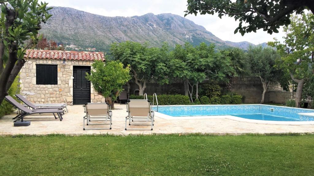 Palm Apartments with Swimming pool photo