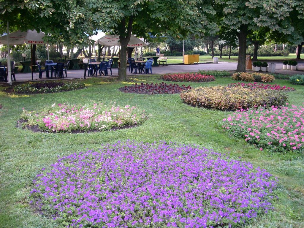 Tsarigradska, Burgas