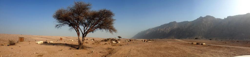 Surrounding environment