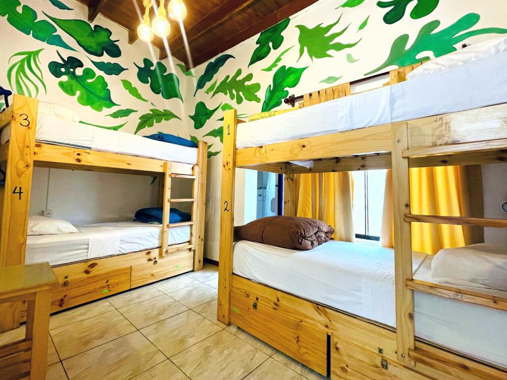 Waikiki Hostel photo