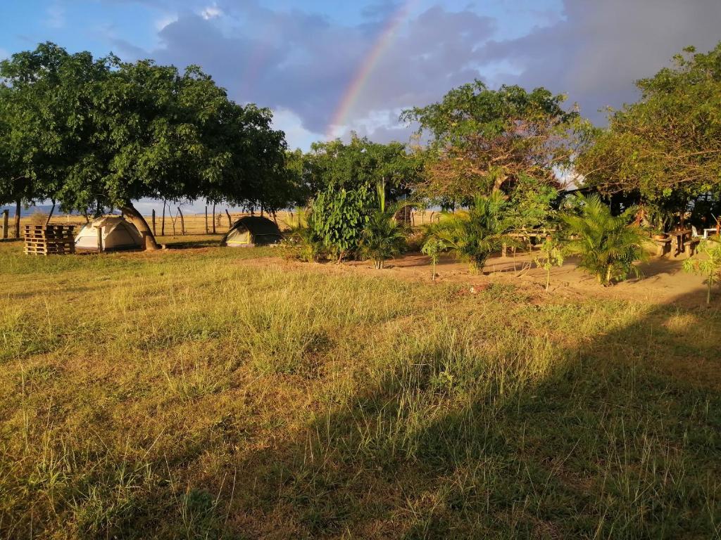 Pachingo la primavera photo