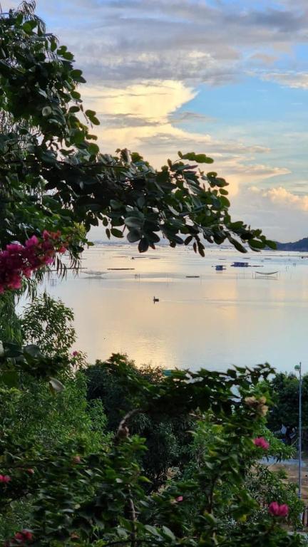 Thanh Nhi Homestay photo