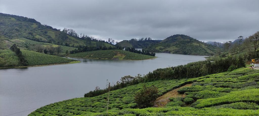 쉐인데일 홈스테이