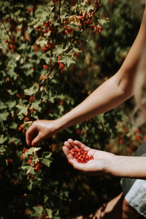 アクティビティ