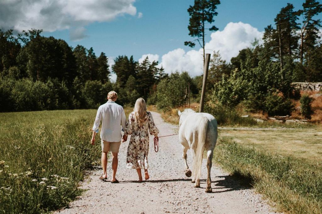 アクティビティ