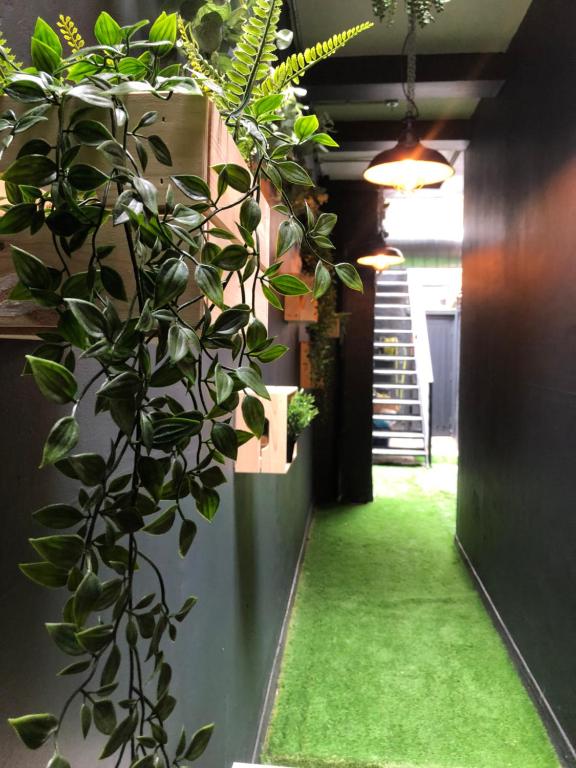 Cuckoo Rooms photo