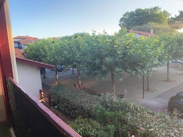 Le Green-Center, 2 pièces en Hyper Centre - 4
