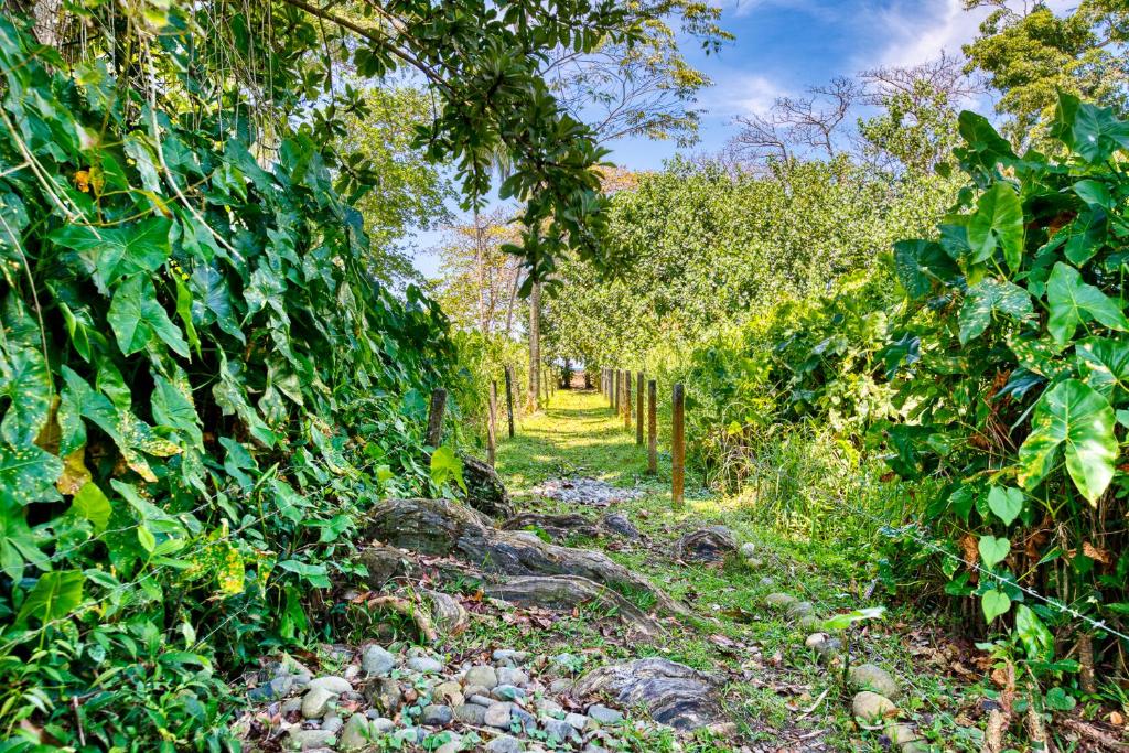 Beach, Villas Pina - Adults only in Puerto Viejo de Talamanca