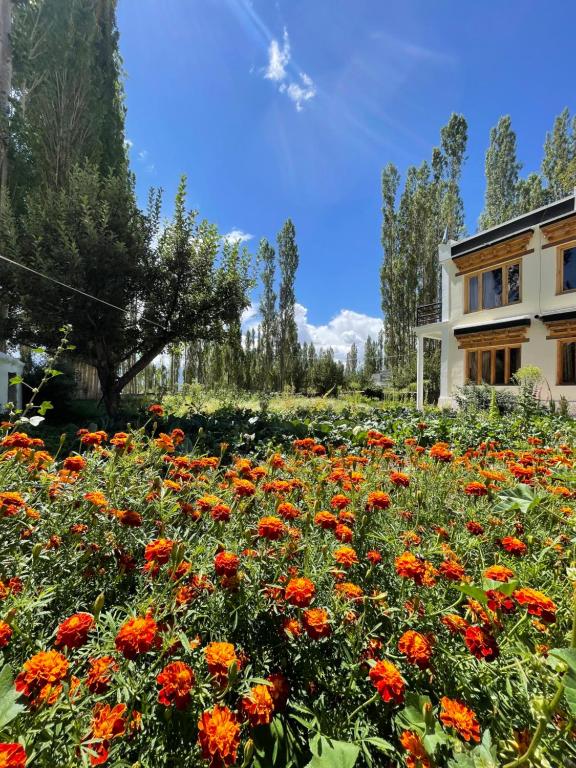 Tongspon inn photo