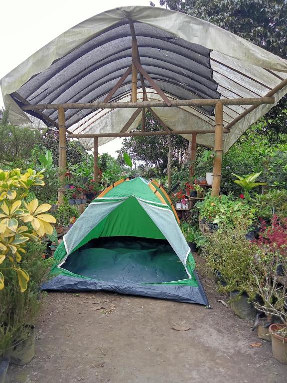 Camping Bellavista en Santo Domingo - 2