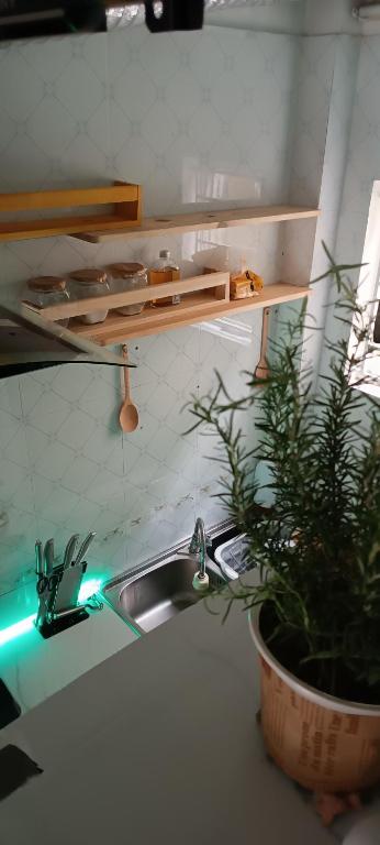 Cuccu homestay