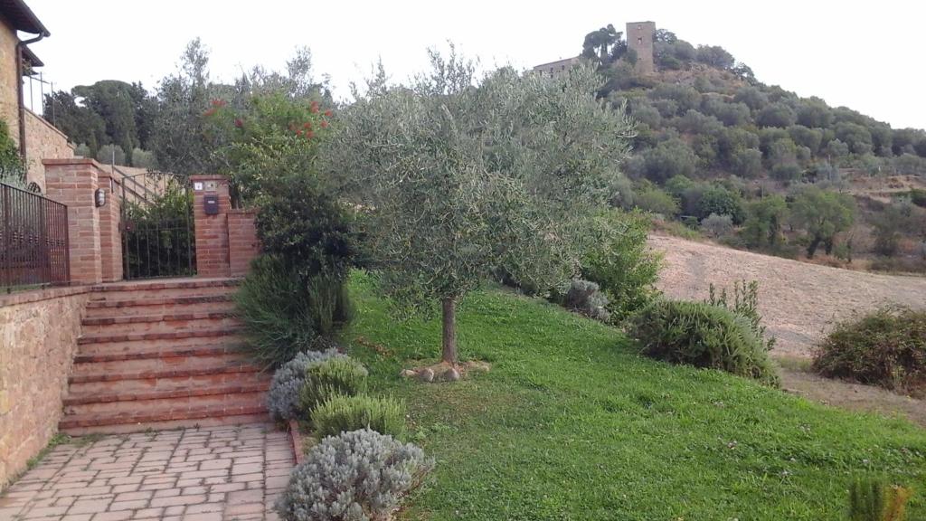 Appartamento con vista panoramica - 3