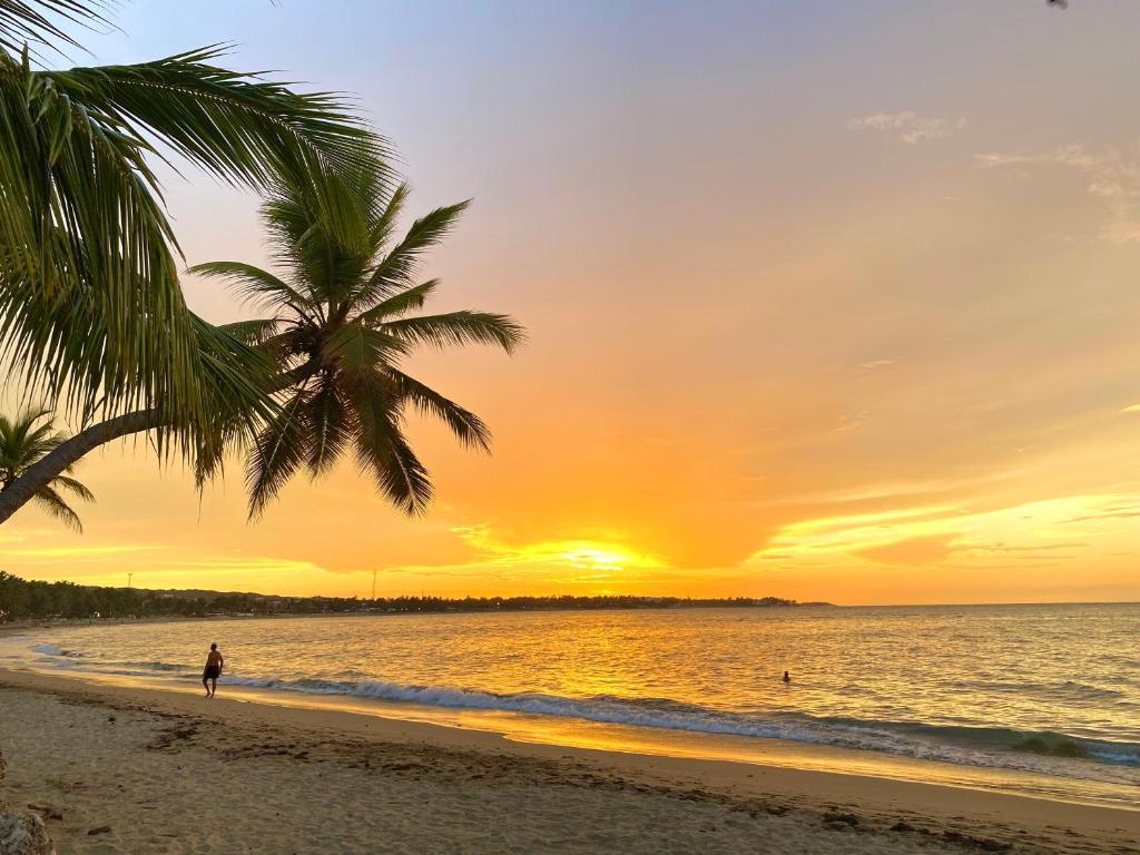 Surrounding environment