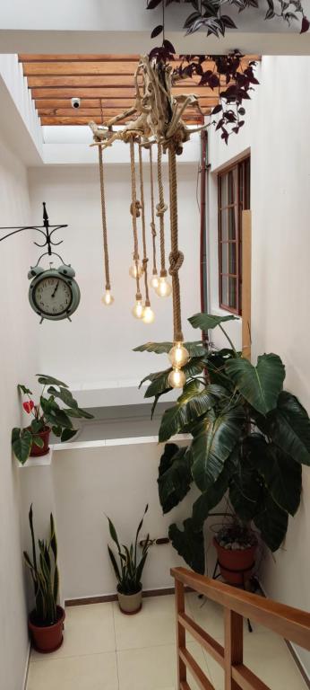 Mallorca Suites Apartaments - 5