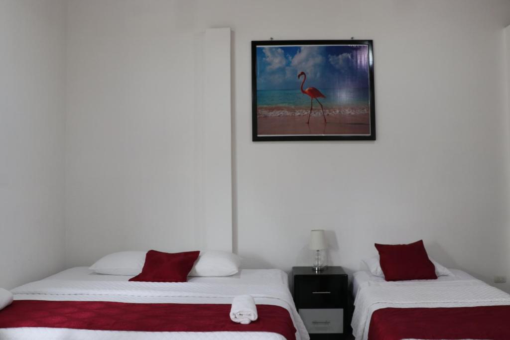Hostal Las Fragatas photo