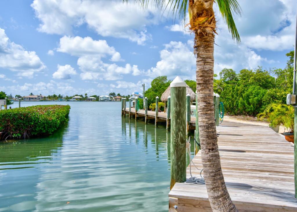 Bonefish Bay Motel  photo