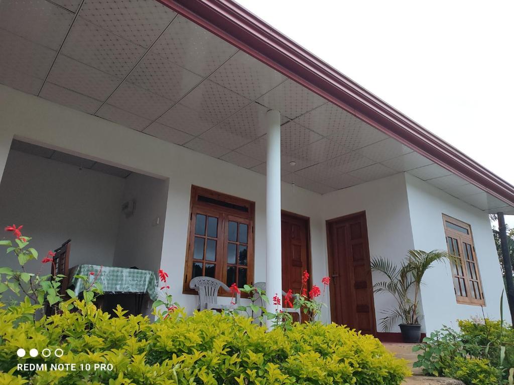 GREENISH INN (ROOMS) photo