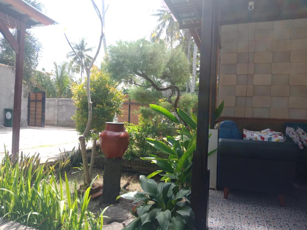 Zifa Kuta Lombok photo