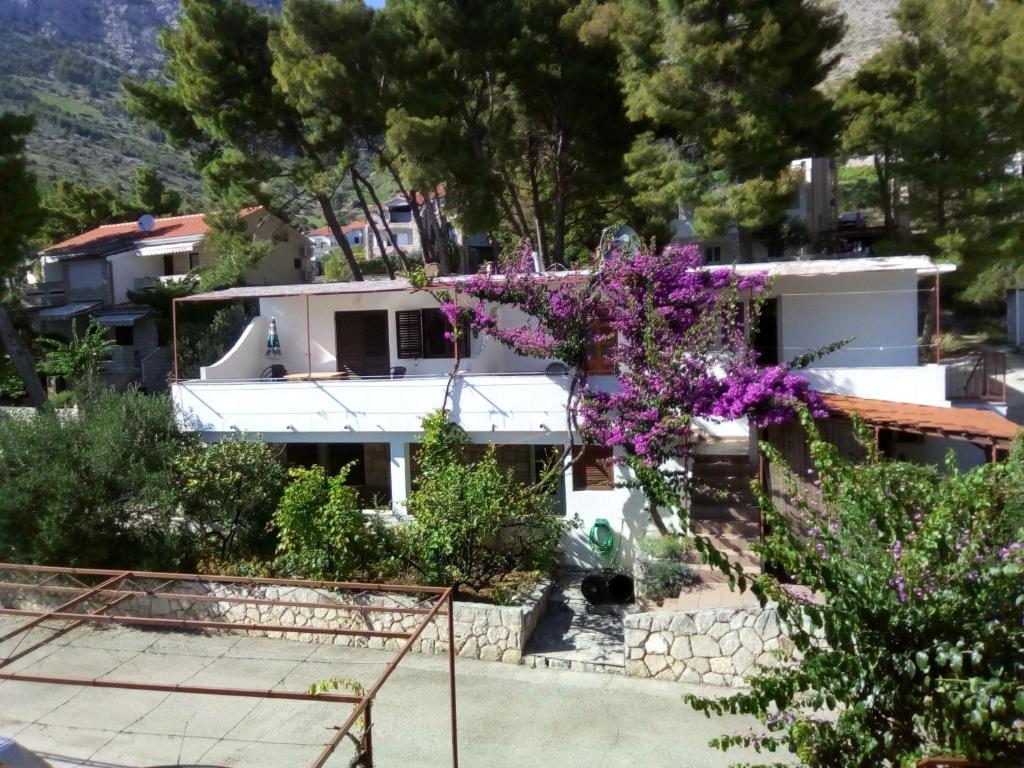 Apartments by the sea Ivan Dolac, Hvar - 18269, Jelsa