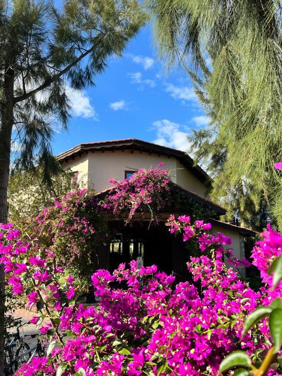 Hotel Berke Ranch&Nature photo