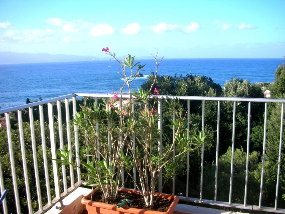 Appartement Climatisé Vue Mer Route des Sanguinaires - 2