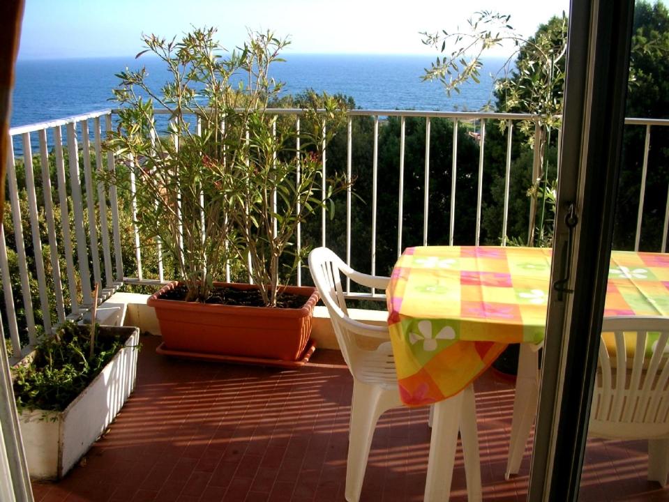 Appartement Climatisé Vue Mer Route des Sanguinaires - 1
