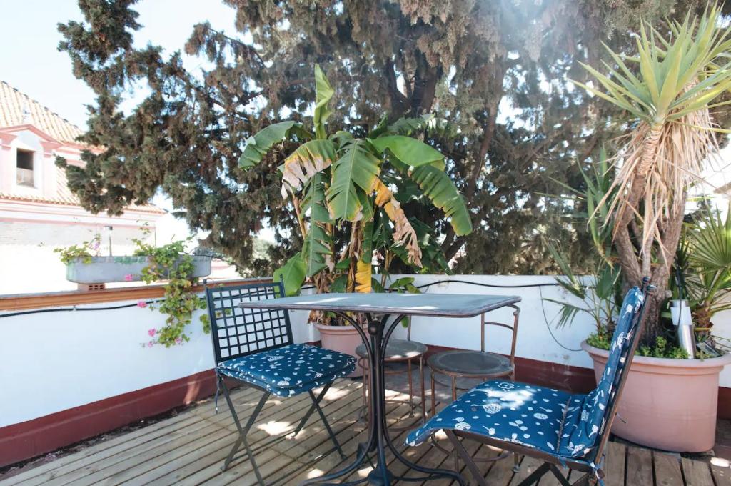 Penthouse private terrace, near cathedral, and to Real Maestranza - 2
