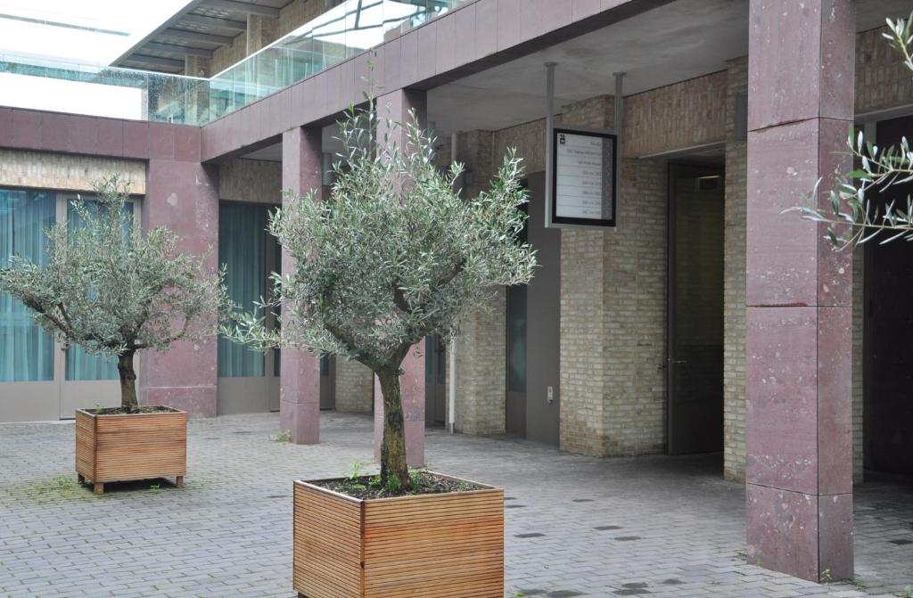 Hotel Mosaic City Centre, Amsterdam | 2025 Updated Prices, Deals