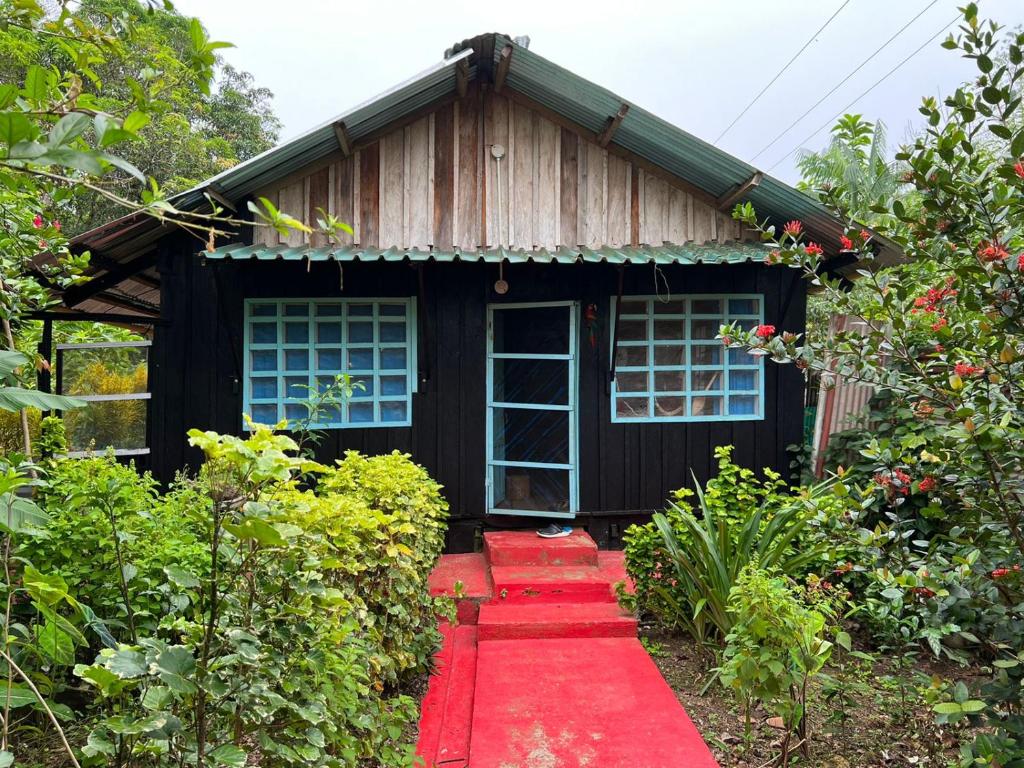 Flor de la selva — Hotel in Puerto Narino
