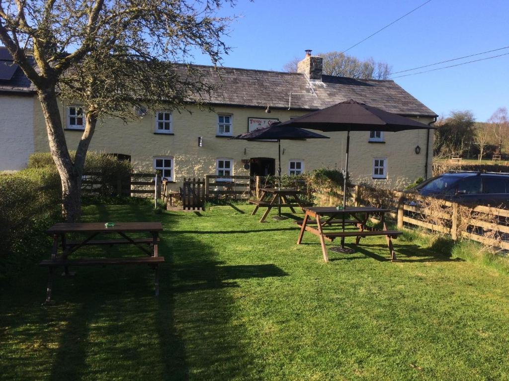 Cobblers Cottage in Brecon Beacons photo 8
